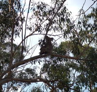Escape to the Country - Enjoy the firepit or explore magical Bunya Mountains - Great Ocean Road Tourism