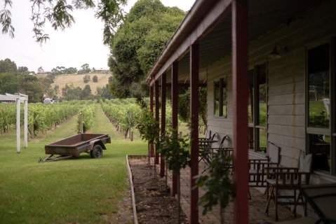Fergusson Winery Homestead Accomodation - Great Ocean Road Tourism 0