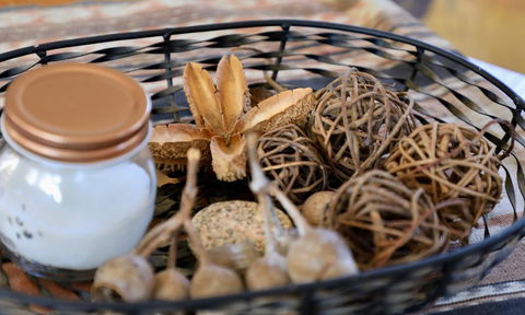 Fig Tree Cabin - Great Ocean Road Tourism 1