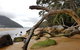 Fish Creek Alkira Accommodation - thumb 1