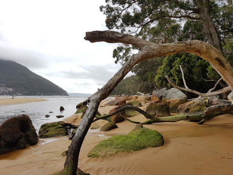 Fish Creek Alkira Accommodation - Great Ocean Road Tourism 1