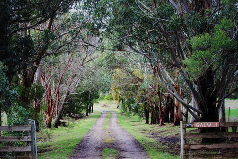 Galwiji Homestead - Great Ocean Road Tourism 1