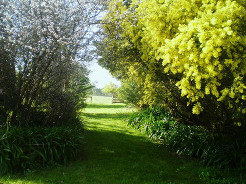 Galwiji Homestead - Great Ocean Road Tourism 3