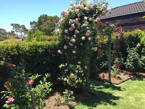 Garden Apartment - Great Ocean Road Tourism 3