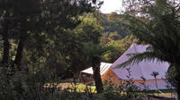Book Zeehan Accommodation Vacations Great Ocean Road Tourism Great Ocean Road Tourism