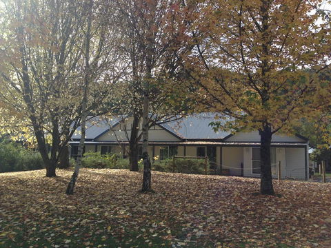 Goldberryaccommodation - Great Ocean Road Tourism 0
