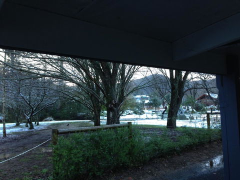 Goldberryaccommodation - Great Ocean Road Tourism 3