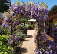 Gumtree House Montville - Great Ocean Road Tourism