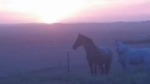 High View Family Cottages - Great Ocean Road Tourism 1