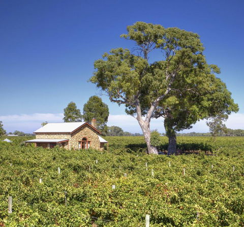 Highbank Country Accommodation - Great Ocean Road Tourism 3
