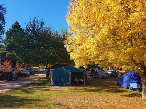 Jamieson Caravan Park - Great Ocean Road Tourism 2