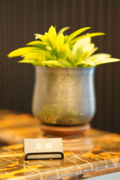 Jephson Hotel & Apartments - Great Ocean Road Tourism 3