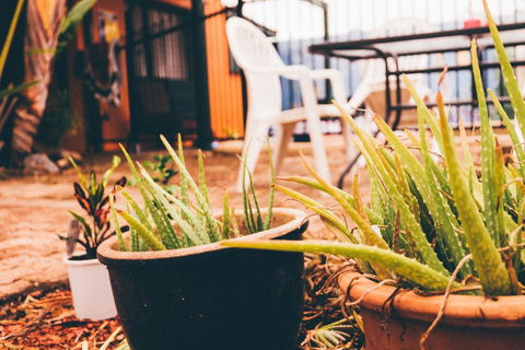 JJs Backpackers Hostel - Great Ocean Road Tourism 2