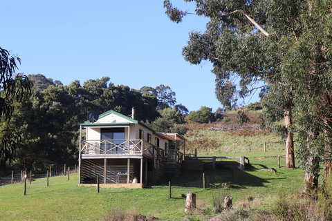 Johanna River Farm & Cottages - Great Ocean Road Tourism 2