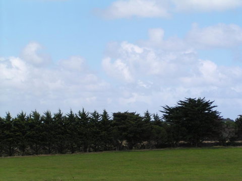 Karingal Homestead B&B - Great Ocean Road Tourism 0