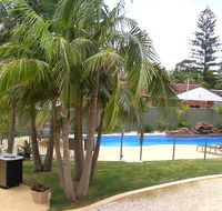 Koala Tree Motel - Great Ocean Road Tourism