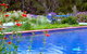 Lemonade Creek Cottages - thumb 0