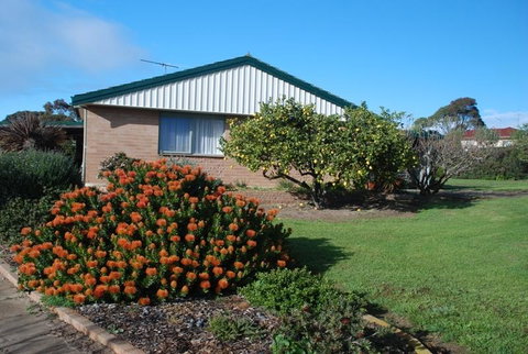 Lemontree Cottage - Great Ocean Road Tourism 0