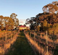 Lillicur Vineyard BB - Great Ocean Road Tourism