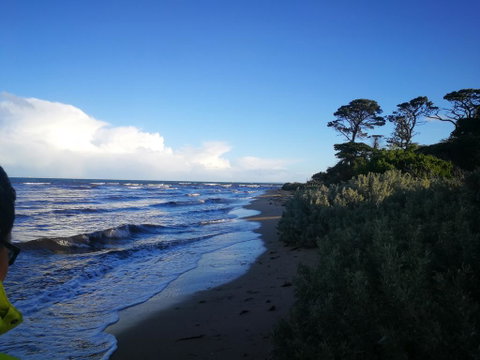 Lily Family - Great Ocean Road Tourism 2