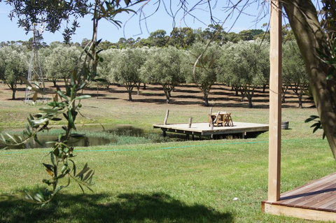 Manzanillo Grove Villa - Great Ocean Road Tourism 2