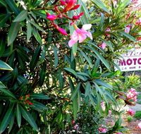 Mercury motor inn - Great Ocean Road Tourism