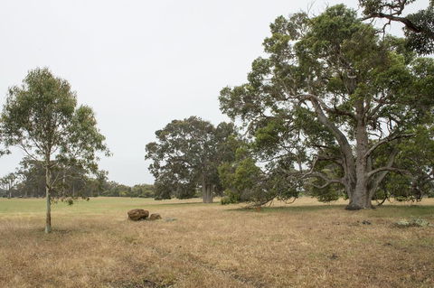 Metricup House - Elegant Country Retreat - Great Ocean Road Tourism 2