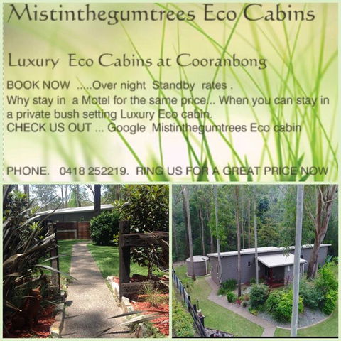 Mistinthegumtrees Eco Luxury Cabins - Great Ocean Road Tourism 3