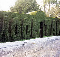 Mooltan House - Great Ocean Road Tourism