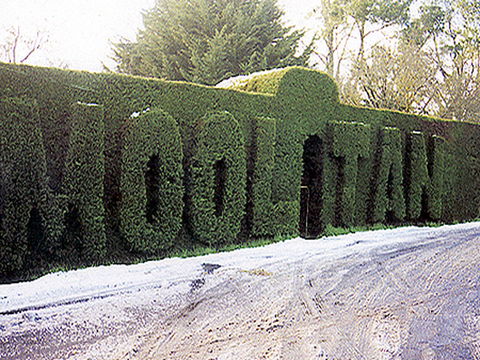 Mooltan House - Great Ocean Road Tourism 0