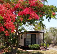 Mt Larcom Tourist Park - Great Ocean Road Tourism
