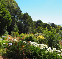 Murrindindi - Great Ocean Road Tourism
