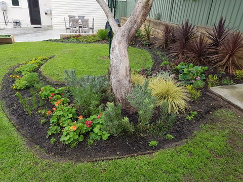 Spencer Cottage - Great Ocean Road Tourism 2