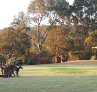 Riverside Retreat Chalets Walpole - Great Ocean Road Tourism