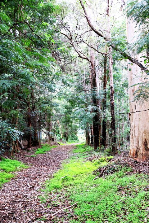 Treenbrook Cottages - Great Ocean Road Tourism 12
