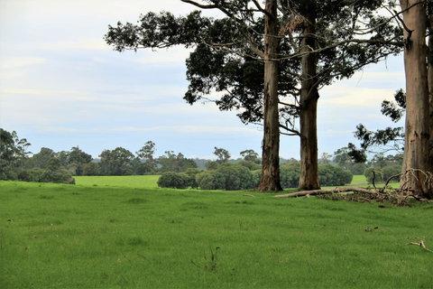 Treenbrook Cottages - Great Ocean Road Tourism 11