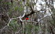 Treenbrook Cottages - thumb 5