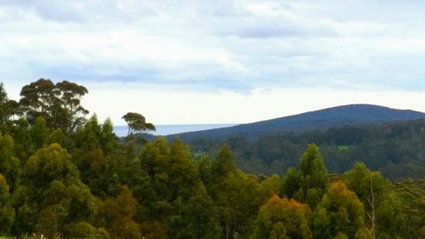 Karri Aura - Great Ocean Road Tourism 10