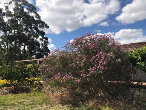 Cockburn Retreat Home æŸæ–¯æ‚ é–’æ°‘å®¿ - Great Ocean Road Tourism 0