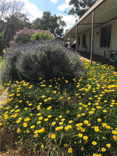Cockburn Retreat Home æŸæ–¯æ‚ é–’æ°‘å®¿ - Great Ocean Road Tourism 3