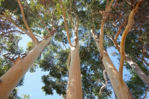 Cockburn Retreat Home æŸæ–¯æ‚ é–’æ°‘å®¿ - Great Ocean Road Tourism 19