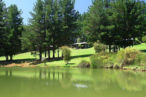 Hawke Brook Chalets - Great Ocean Road Tourism 2