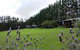 Hawke Brook Chalets - thumb 1