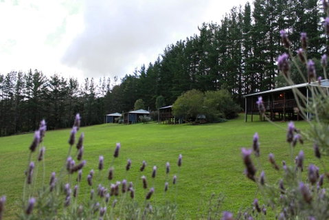 Hawke Brook Chalets - Great Ocean Road Tourism 1