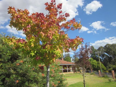 Bridgetown Valley Lodge - Great Ocean Road Tourism 40