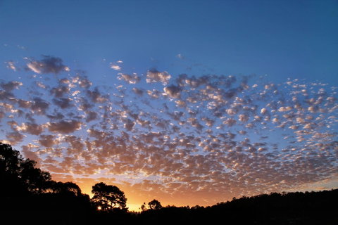 Bridgetown Valley Lodge - Great Ocean Road Tourism 6