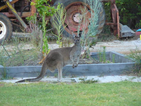 Nannup Bush Retreat - Great Ocean Road Tourism 38