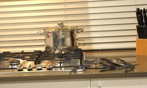 South Yunderup Holiday Rental - Great Ocean Road Tourism 12