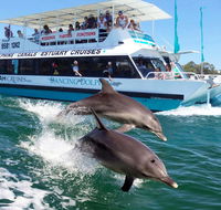 Belvedere Caravan Park - Great Ocean Road Tourism