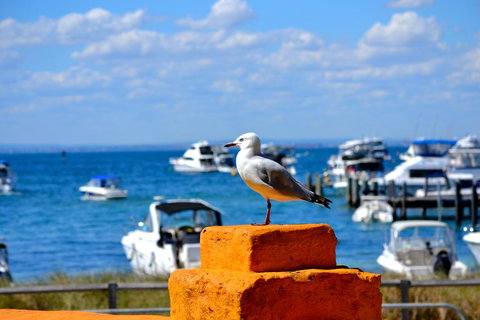 Palms Bed & Breakfast - Great Ocean Road Tourism 25